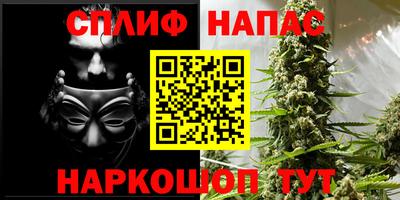 дмт Заводоуковск