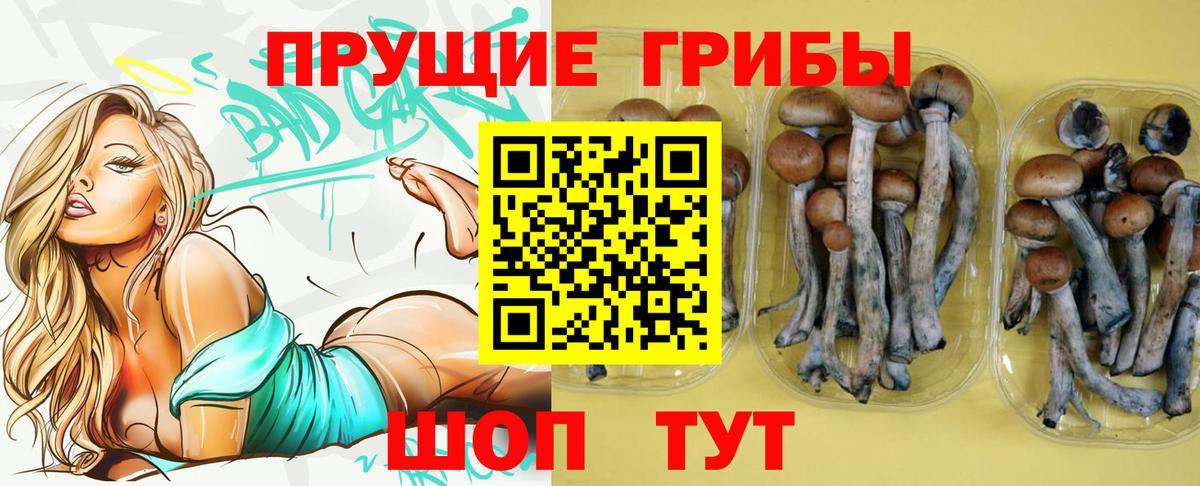Нерюнгри  Галлюциногенные грибы GOLDEN TEACHER  Вход с VPN 