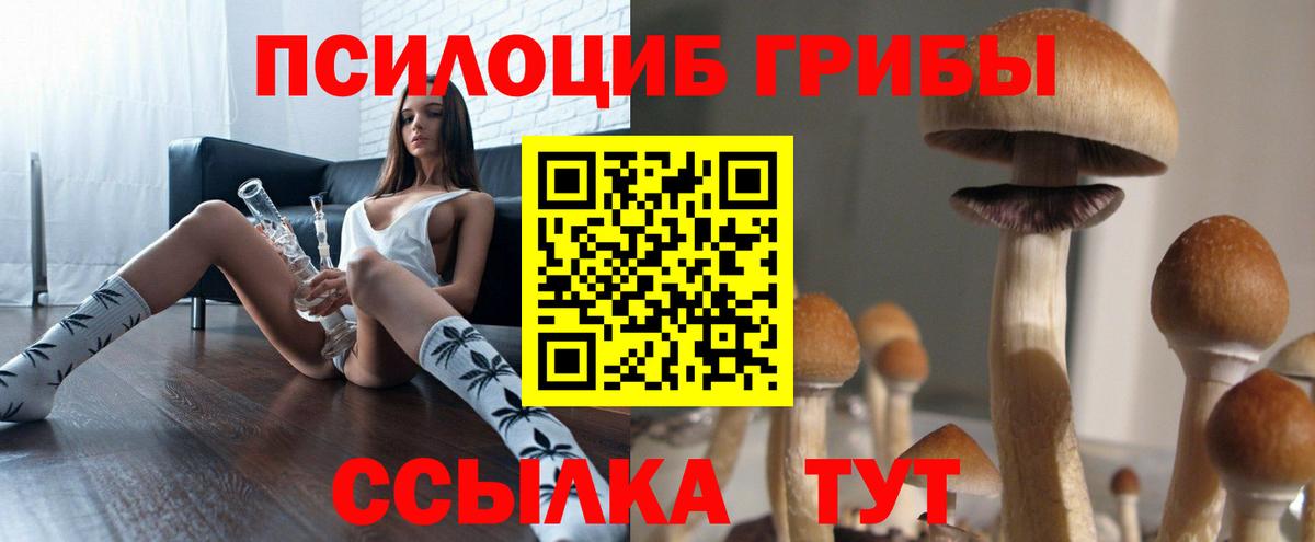 Галлюциногенные грибы Psilocybine cubensis Нерюнгри